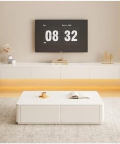 Générique Meuble TV Flottant, Console multimédia Murale Moderne pour TV, Centre de Divertissement avec Gestion des câbles, pour Salon, Chambre à Coucher (160 x 24 x 20 cm)
