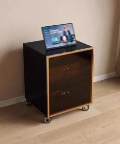 Meuble Stéréo, Meuble Rack Audio Movible, Rack Audio Avec Porte En Verre Trempé, Meuble Hi Fi Avec Étagère Réglable, Gestion Des Câbles, Meuble Audio Vidéo for Le Bureau À Domicile(Black+Gol