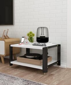 Meuble Rack Audio, Rack Audio avec Pieds Amortisseurs, Meuble Hi FI en Bois, Meuble Stéréo Ouverte for Composant Stéréo De Divertissement, Support TV Moderne for Salon(Black+White,2-Tier)