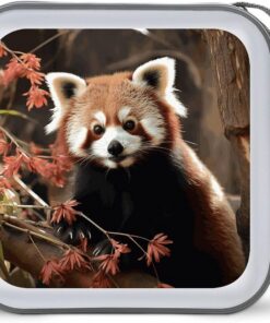 Red Pandas Étui de rangement portable en plastique rigide pour CD/DVD Capacité 40 emplacements pour voiture, maison, bureau, voyage